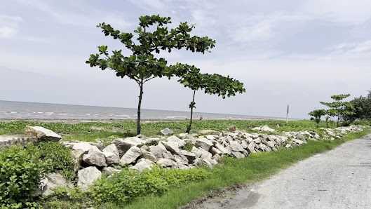 Ảnh Google Maps, chưa xin phép bản quyền Ảnh chờ bản quyền — Cà phê võng sân vườn không tên