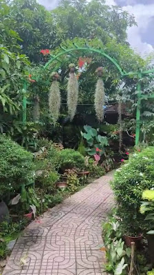 Ảnh Google Maps, chưa xin phép bản quyền Ảnh chờ bản quyền — Homestay Trí Dũng