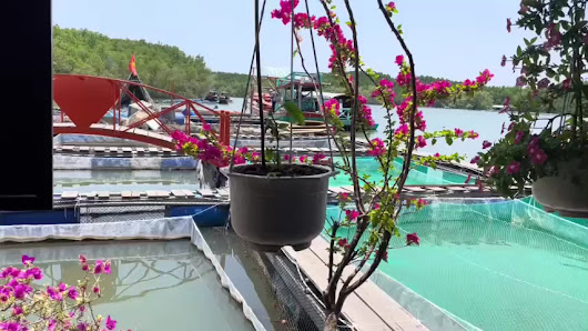 Ảnh Google Maps, chưa xin phép bản quyền Ảnh chờ bản quyền — HOSTEL ECO TOURISM CAN GIO