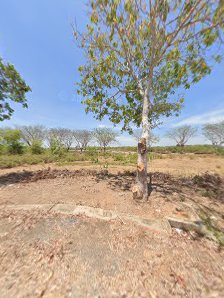 Ảnh Google Maps, chưa xin phép bản quyền Ảnh chờ bản quyền — The Mangrove Garden