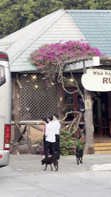 Ảnh chờ bản quyền — Nhà hàng Rừng Sác - Cần Giờ