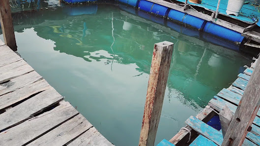 Ảnh chờ bản quyền — Quán ăn bè nổi Hiếu Hạnh