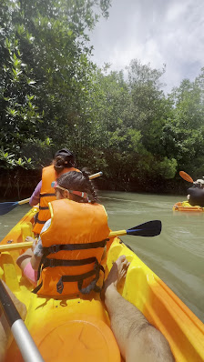 Ảnh chờ bản quyền — KDL Bè Nổi Ecotourism Cần Giờ