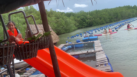 Ảnh chờ bản quyền — KDL Bè Nổi Ecotourism Cần Giờ