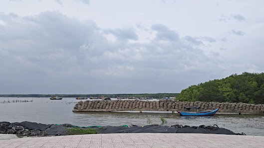 Ảnh chờ bản quyền — Mũi Đồng Tranh